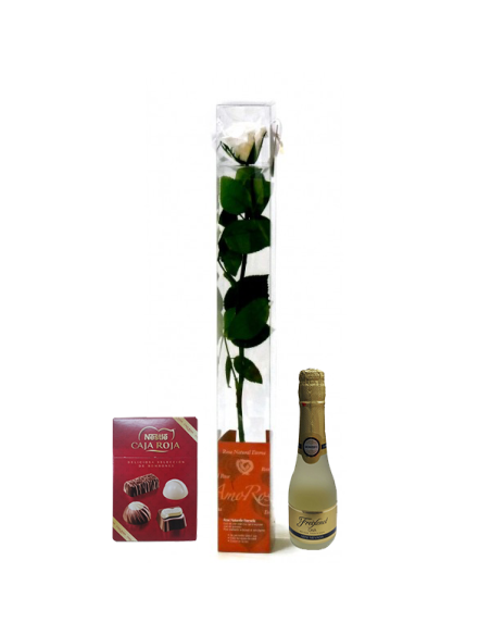 Rosa Roja Preservada + Bombones + Benjamin