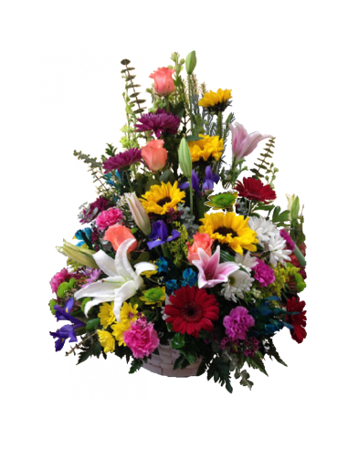 Cesta Flores Crisoberiloma