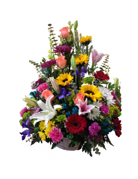 Cesta Flores Crisoberiloma