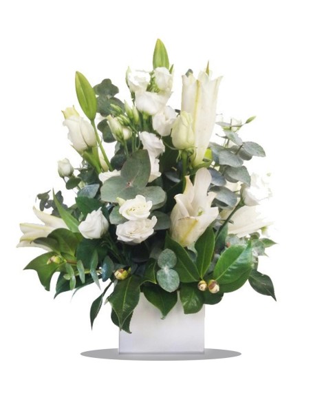 Centro Flores Du verdon