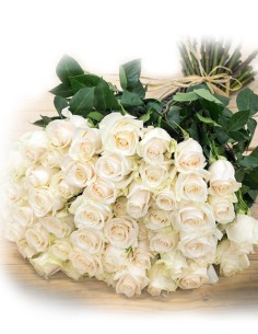 Multitud de Rosas Blancas 2