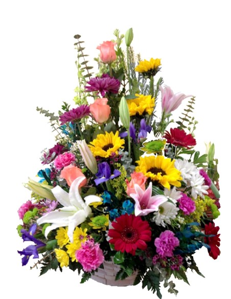 Cesta Flores Crisoberiloma