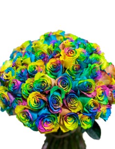 Multitud Rosas Arcoiris 2