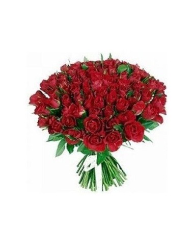 Multitud de Rosas Rojas