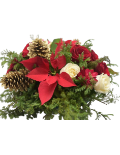 Centro Navideño Azahar 2