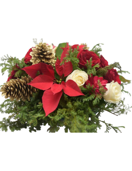 Centro Navideño Azahar